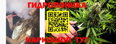 mdpv Анжеро-Судженск