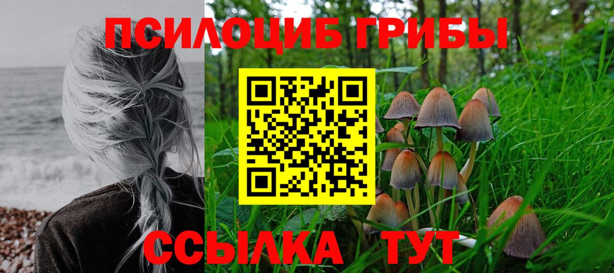 Коркино  Псилоцибиновые грибы Magic Shrooms  Вход с VPN  Псилоцибиновые грибы мухоморы 